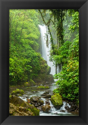 Framed Costa Rica, La Paz Waterfall Garden Rainforest Waterfall And Stream Print