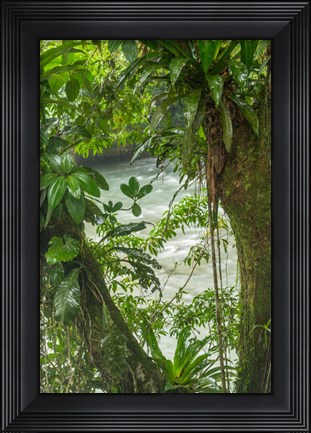 Framed Costa Rica, Sarapiqui River Valley, Rio Puerto Viejo River In Rainforest Print