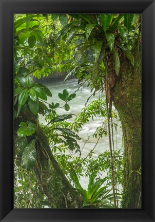 Framed Costa Rica, Sarapiqui River Valley, Rio Puerto Viejo River In Rainforest Print