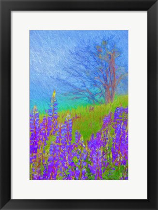 Framed Arizona Aspen Tree In Winter Print