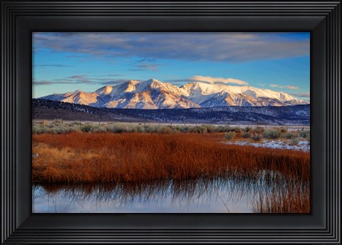 Framed California White Mountains And Reeds In Pond Print