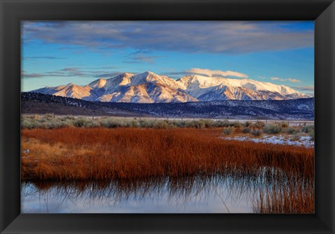 Framed California White Mountains And Reeds In Pond Print