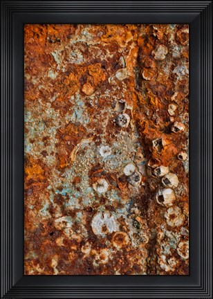 Framed Old Wooden Fishing Boat Out Of Water, Detail Of Paint Crescent City, California Print