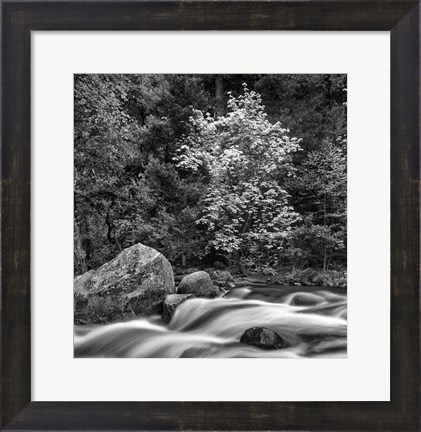 Framed California, Yosemite, Happy Isles Print