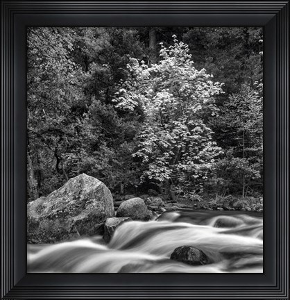 Framed California, Yosemite, Happy Isles Print