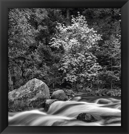 Framed California, Yosemite, Happy Isles Print