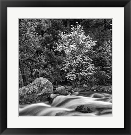 Framed California, Yosemite, Happy Isles Print