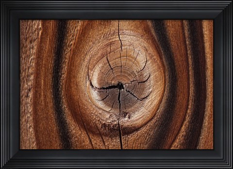 Framed Old Wood Design, California Print