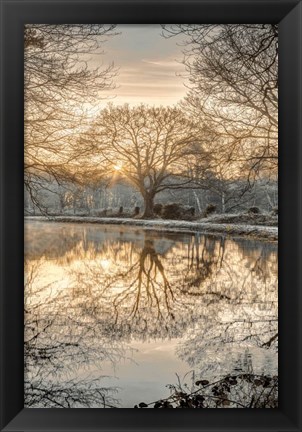 Framed Frosty Morning II Print