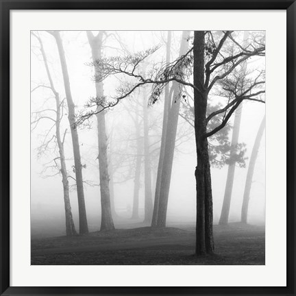 Framed Ethereal Trees Print