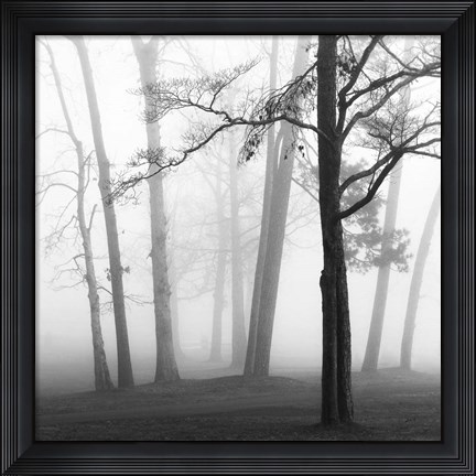 Framed Ethereal Trees Print