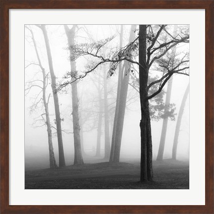 Framed Ethereal Trees Print