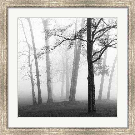 Framed Ethereal Trees Print