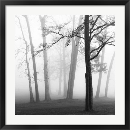 Framed Ethereal Trees Print