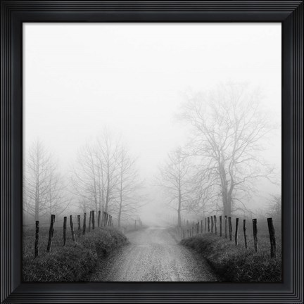 Framed Sparks Lane in Fog Print