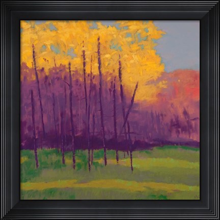 Framed Bright View No. 3 Print