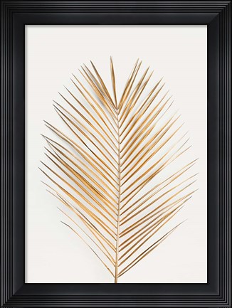 Framed Palm Leaf Gold Print