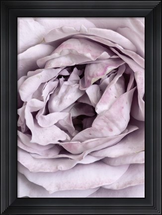 Framed Rose Heart Print