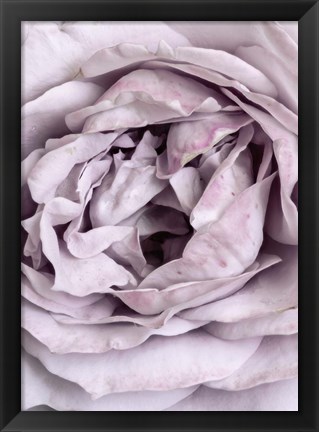 Framed Rose Heart Print