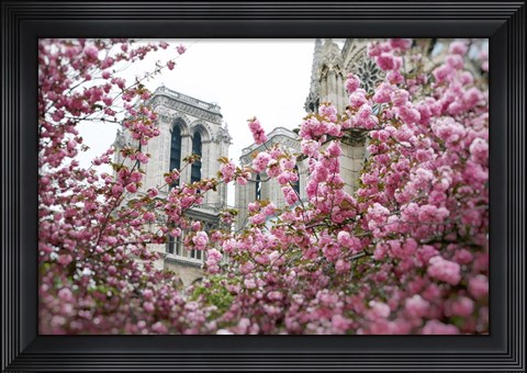 Framed Notre Dame 1 Print