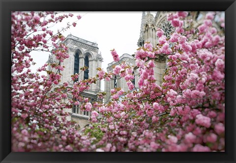 Framed Notre Dame 1 Print