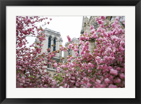 Framed Notre Dame 1 Print