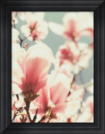 Framed Paris Petals 1 Print
