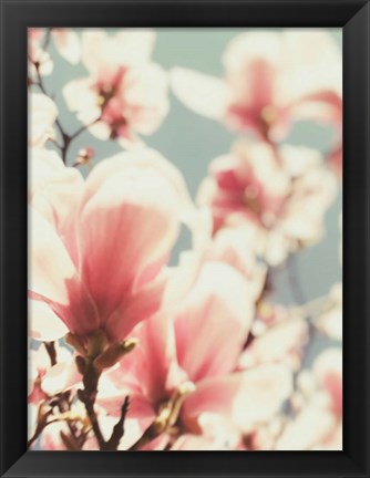 Framed Paris Petals 1 Print