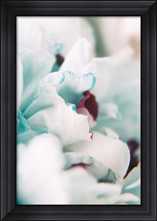 Framed Paris Petals 2 Print