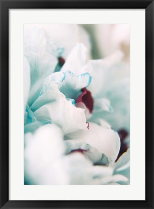 Framed Paris Petals 2 Print