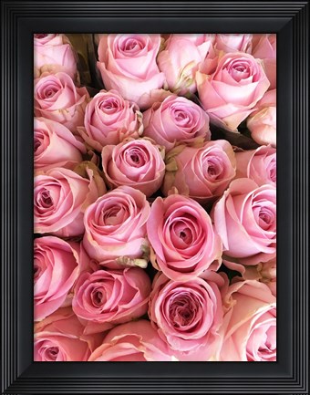 Framed Paris Petals 3 Print