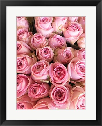 Framed Paris Petals 3 Print