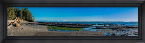 Framed Botanical Beach Panorama Print