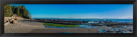 Framed Botanical Beach Panorama Print