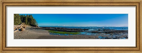 Framed Botanical Beach Panorama Print