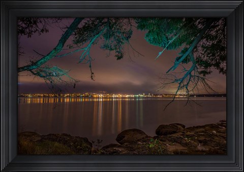 Framed Nanaimo Night Tree Print