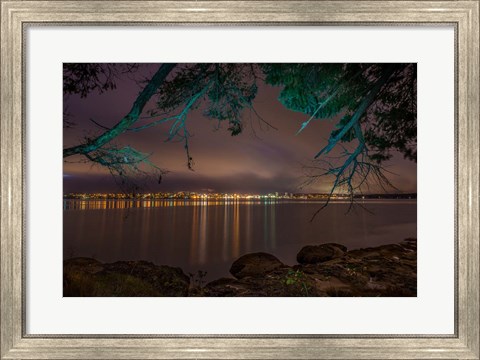 Framed Nanaimo Night Tree Print