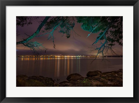 Framed Nanaimo Night Tree Print