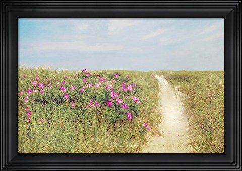 Framed Beach Roses Print