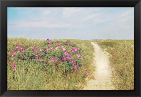 Framed Beach Roses Print