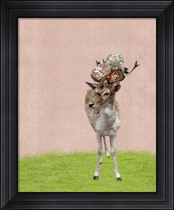 Framed Buck on Pink Print