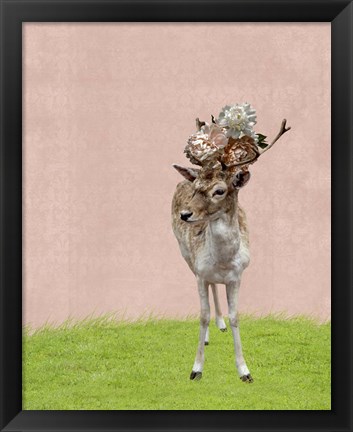 Framed Buck on Pink Print