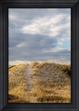 Framed Dunes Trail Print