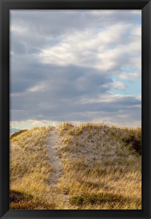 Framed Dunes Trail Print