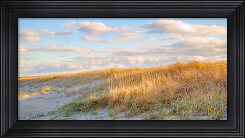 Framed Grassy Dunes Panorama Print