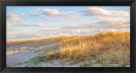Framed Grassy Dunes Panorama Print