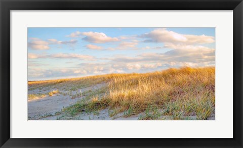 Framed Grassy Dunes Panorama Print