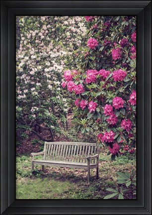 Framed Rest Among The Flowers Print