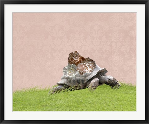 Framed Tortoise on Pink Print