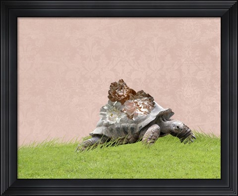 Framed Tortoise on Pink Print